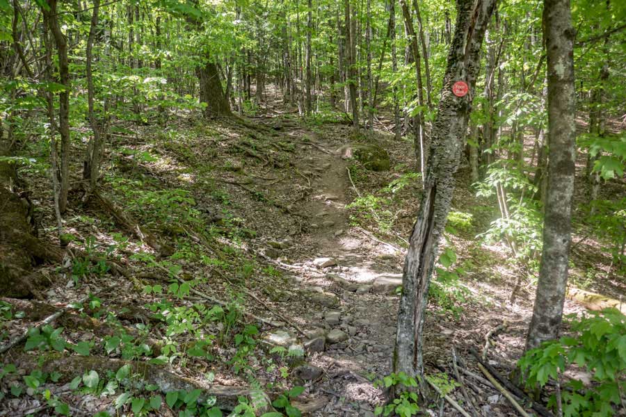 Trail Head for St Anne and west kill Mountain Trail