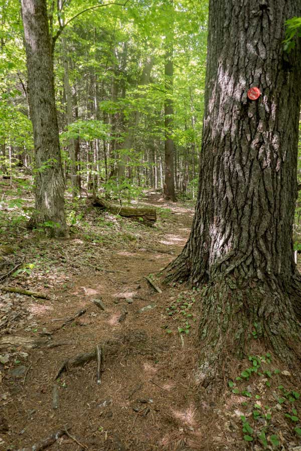 The water source at the beginning of the Devil's Path.