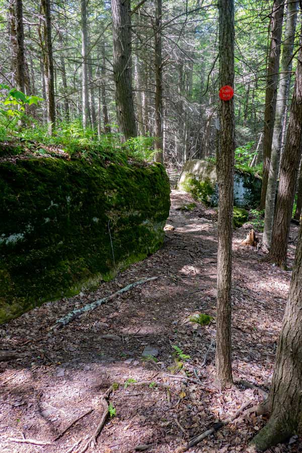 type of path up Mink Hollow on the Devil's Path