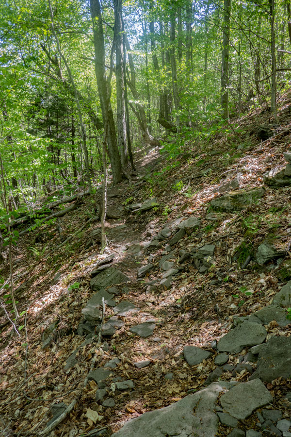 The Devil's Path at the base of St Anne Mountain.
