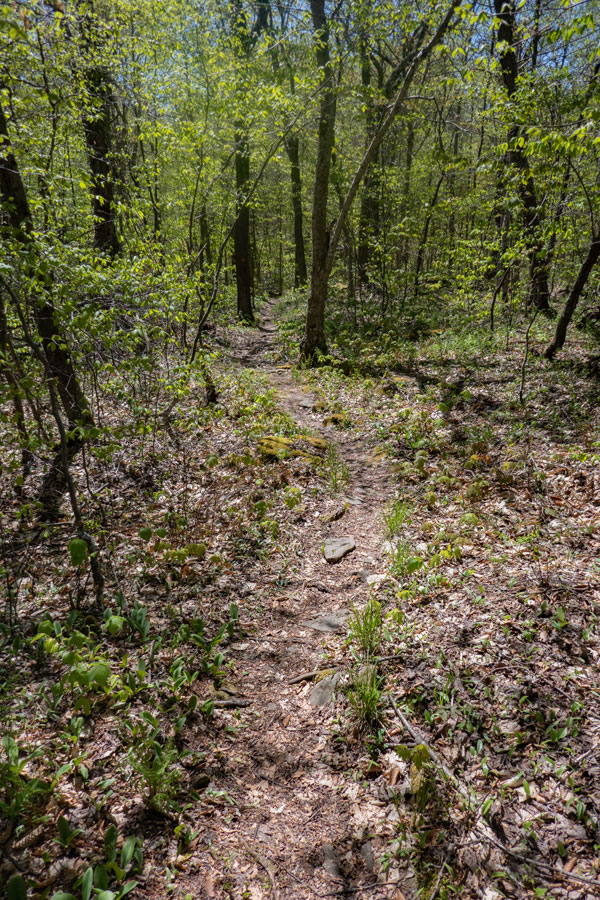 The Devil's Path will level out to a very nice trail.