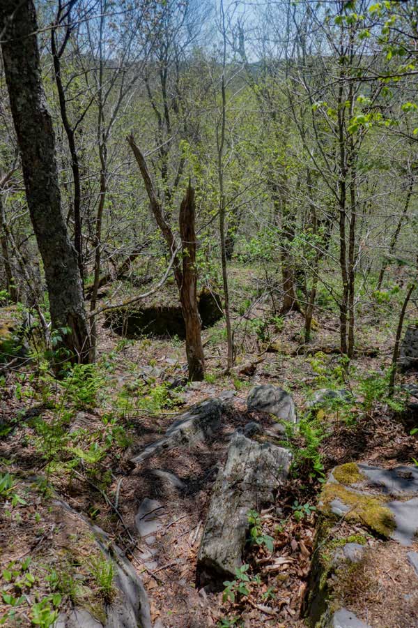 The ledges off the east side of St Anne