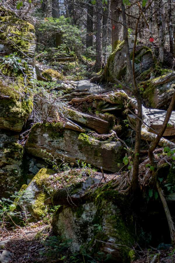 Ledges on the west side of West Kill Mountain.