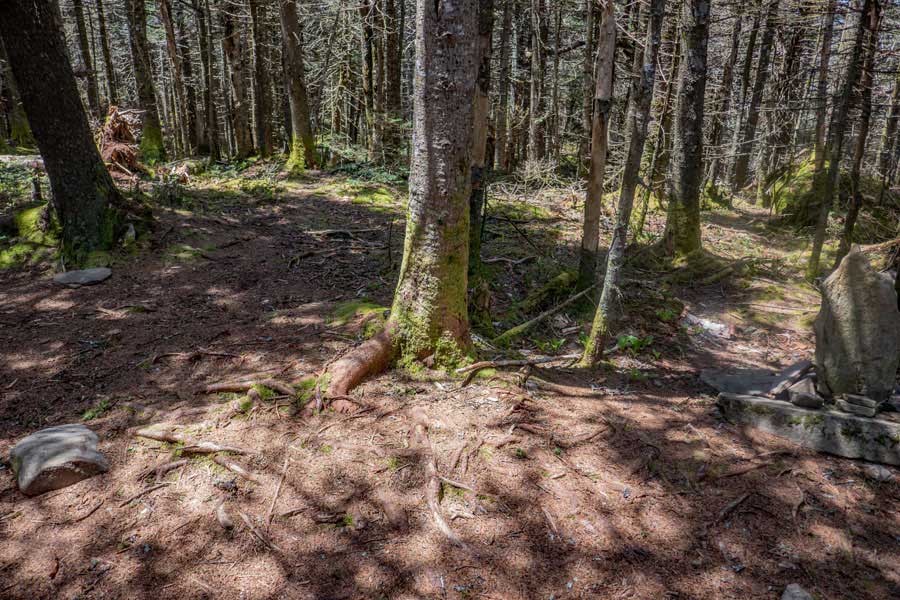 summit of West Kill Mountain