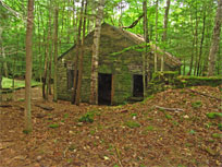 Escarpment Trail