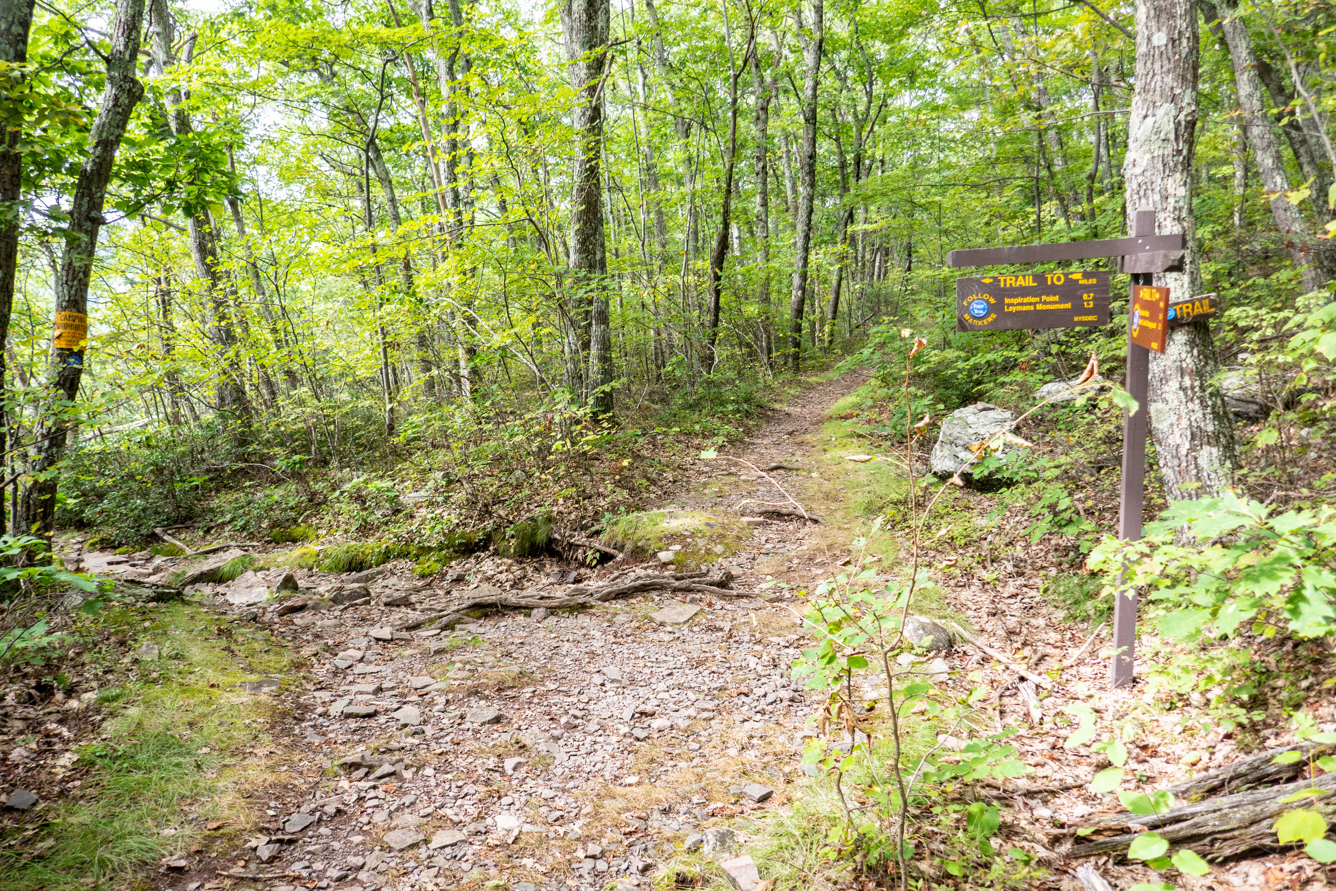 Trail Junction to the Southwestern part of the Escarpment Trail in the Catskill mountains