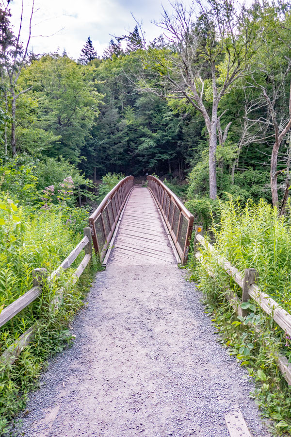 bridge over lake creek