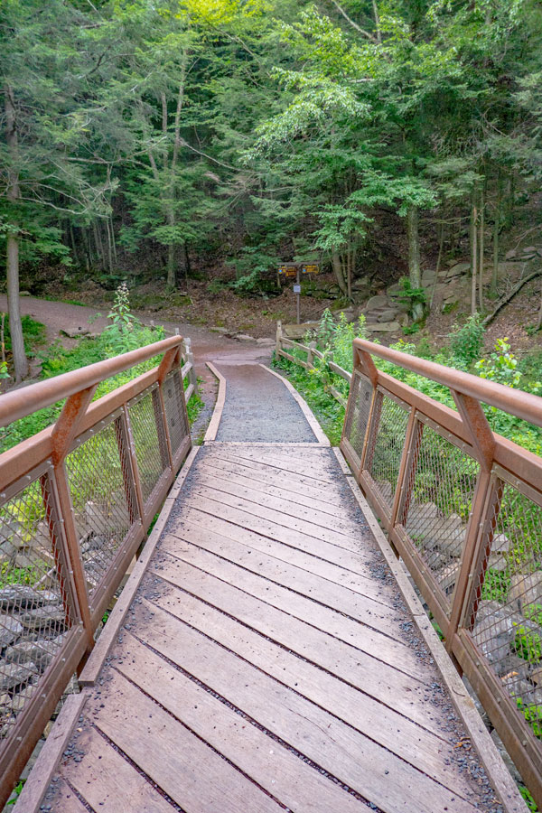 bridge over lake creek and trail junction to the Escarpment Trail
