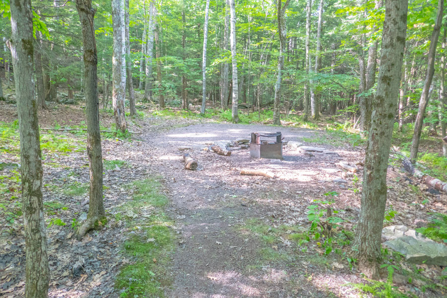 official camp site on the horse trail to Palenville Overlook