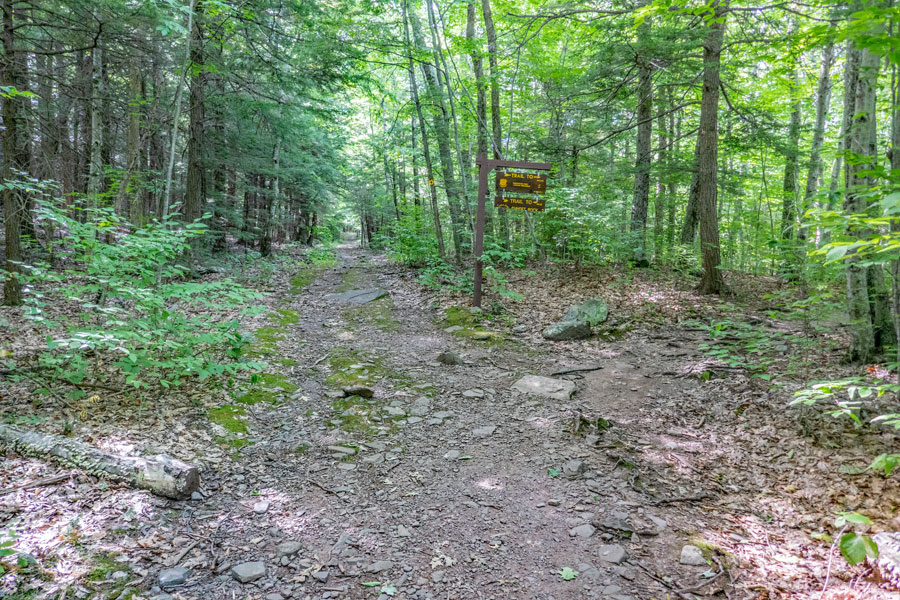 trail junction to the short-cut trail to the southern escarpment trail in the catskill mountains