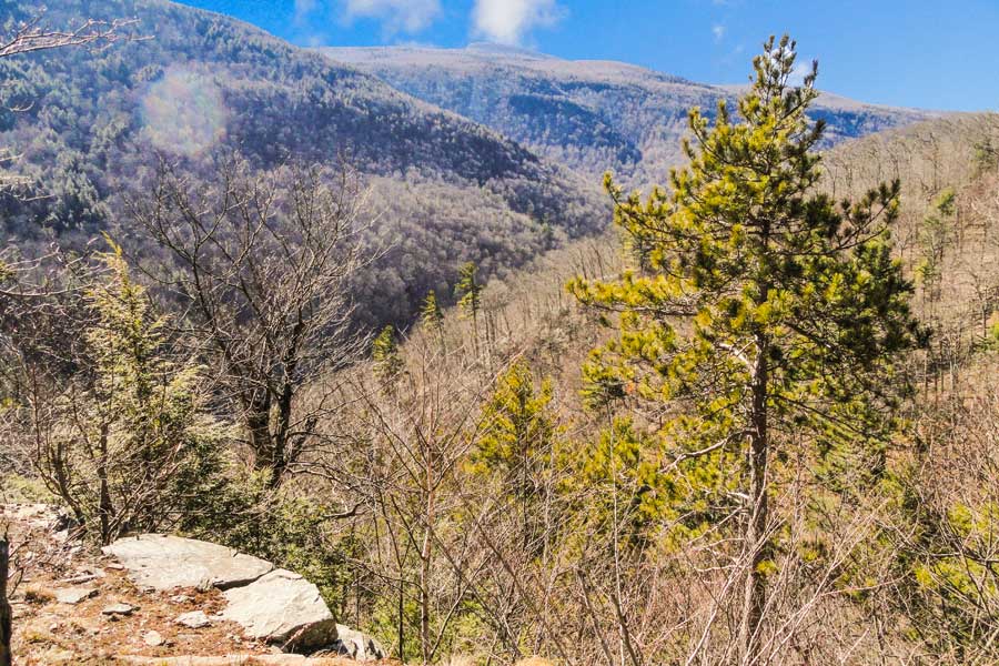 harding road trail