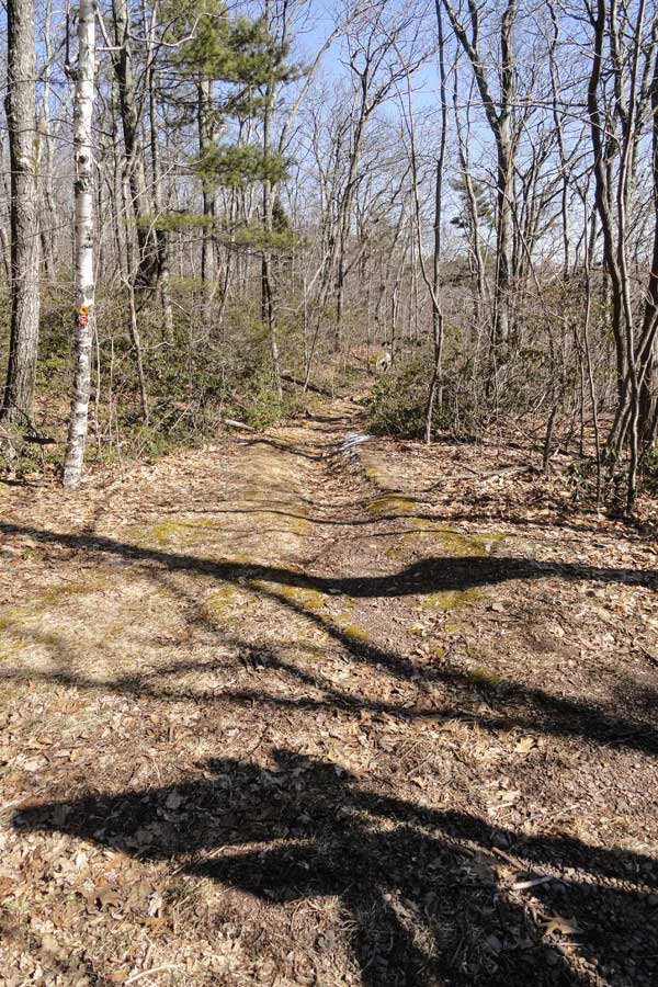top of the harding road trail