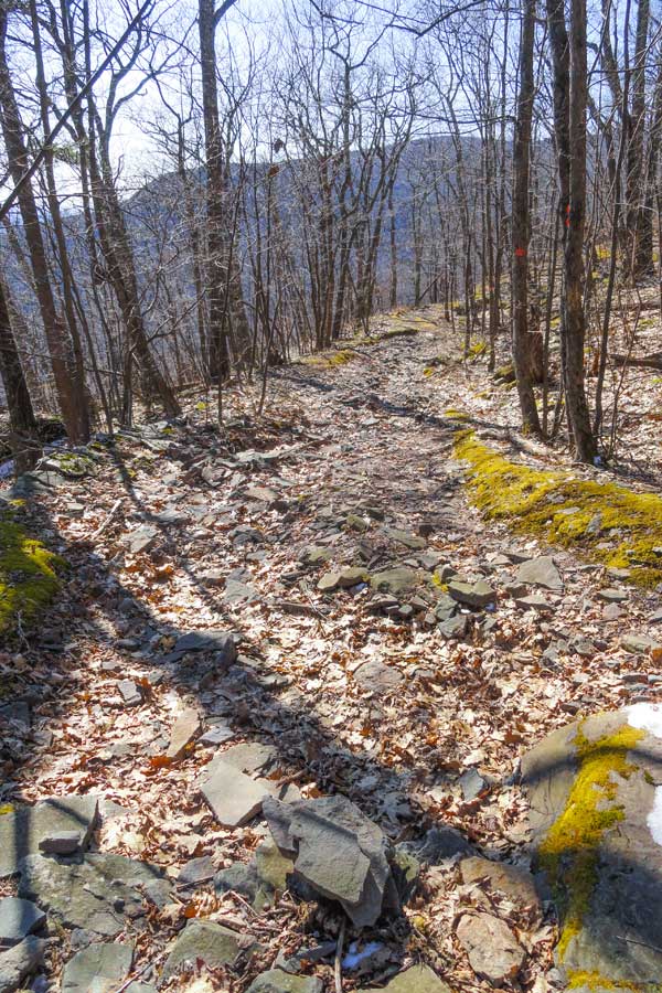 beginning of the harding road trail