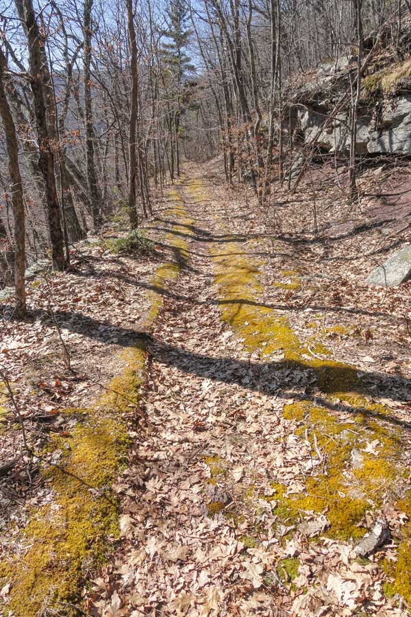 typical view of the harding road trail