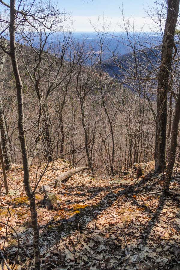 limited view from the top of the harding road trail