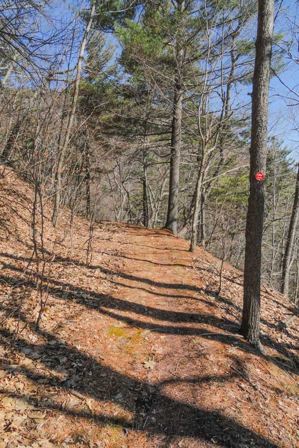 Half way down the harding road trail