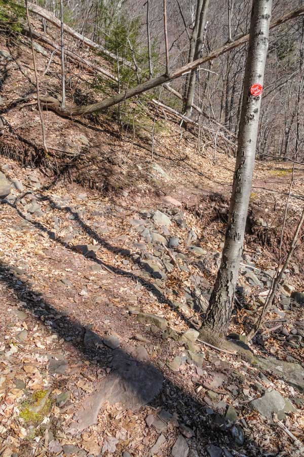 first stream cross on the  harding road trail