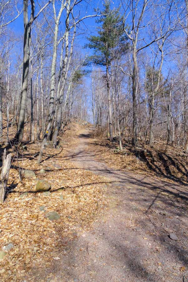 trail junctions to the white road trail junction