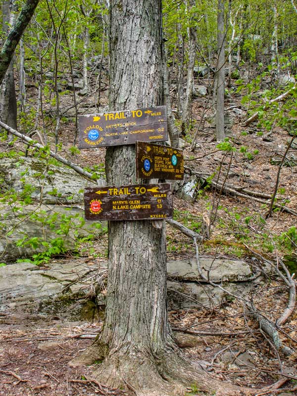 trail junction between north point and newmans ledge in the catskill mountains
