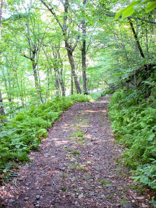 DEC sign for the Balsam Lake Mountain