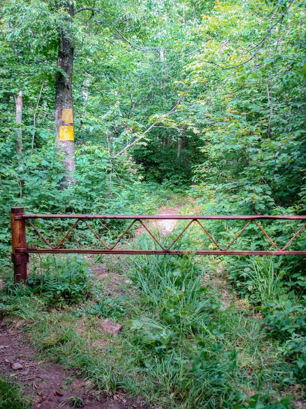 leaving the Dry Brook Ridge Trail onto the Balsam Lake Mountain Trail