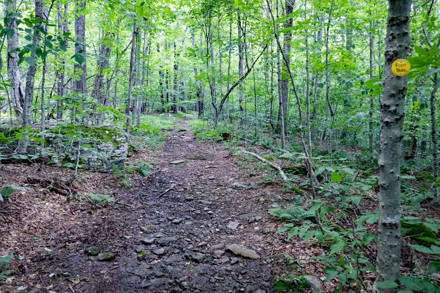 view of the Mill Brook Ridge Trail from the Adler Lake Loop to the Beaver Meadow Lean-to
