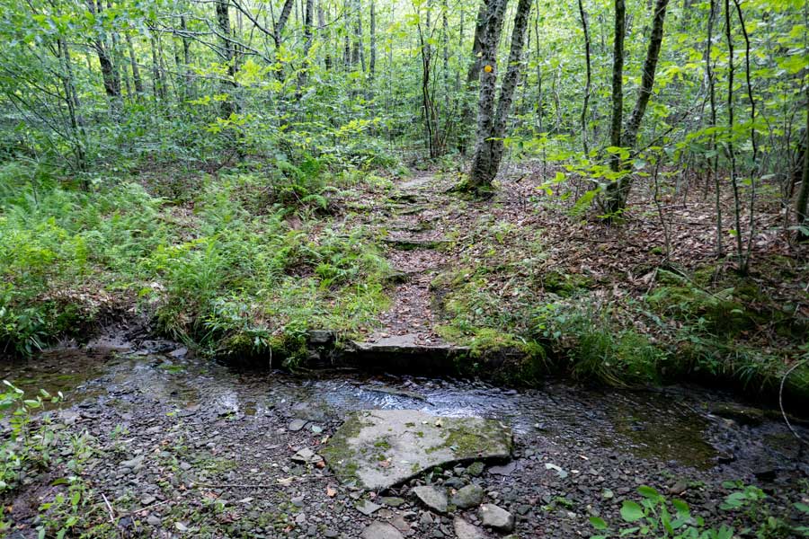 stream crossing of the mill brook ridge trail between alder lake and beaver meadow lean-to  