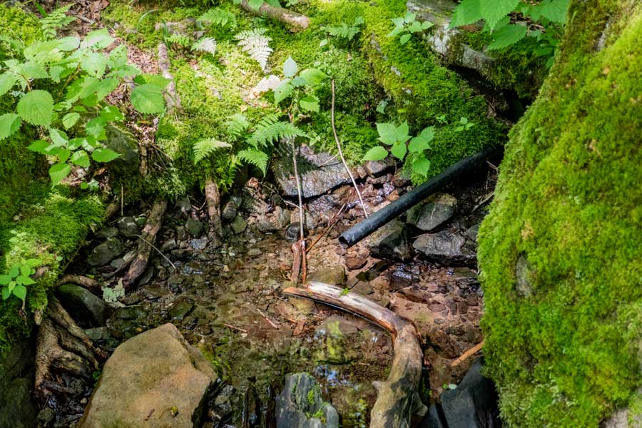 spring near the beaver meadow lean-to  