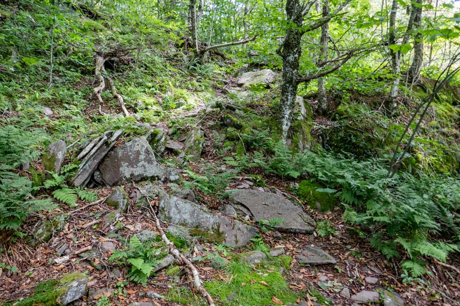 climb up the Mill Brook Ridge Mountain