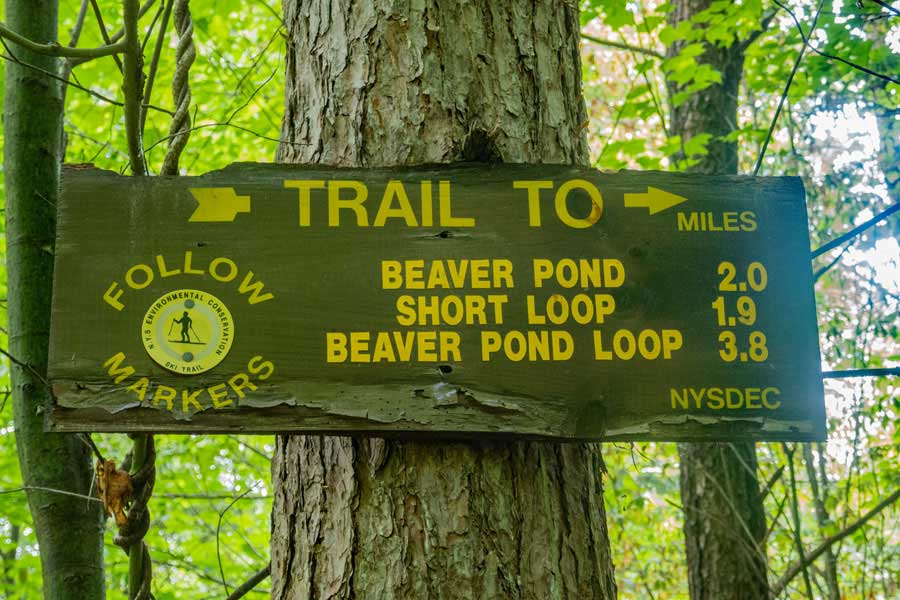 Trailhead of the Kelly Hollow Loop on Kelly Hollow