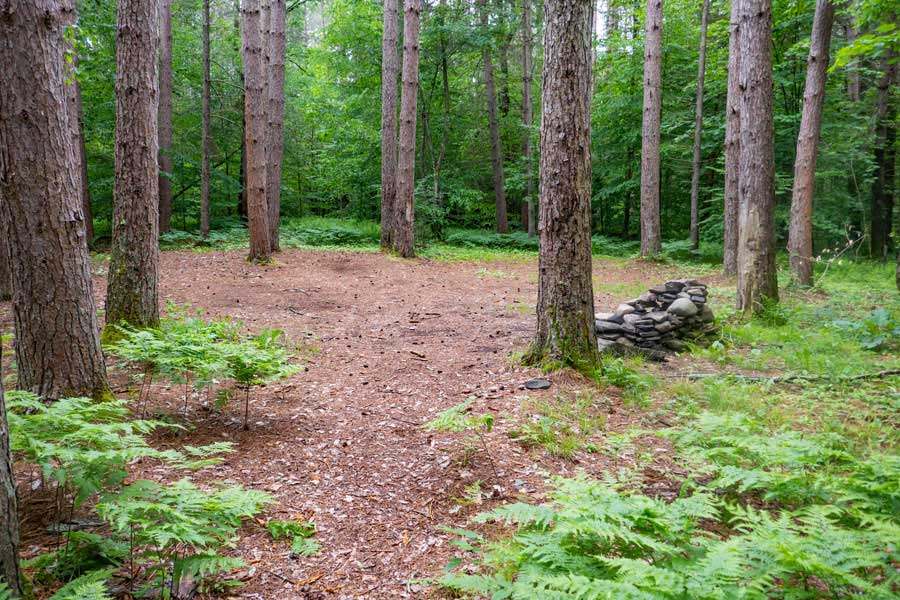 campsite near the kelly hollow loop trailhead