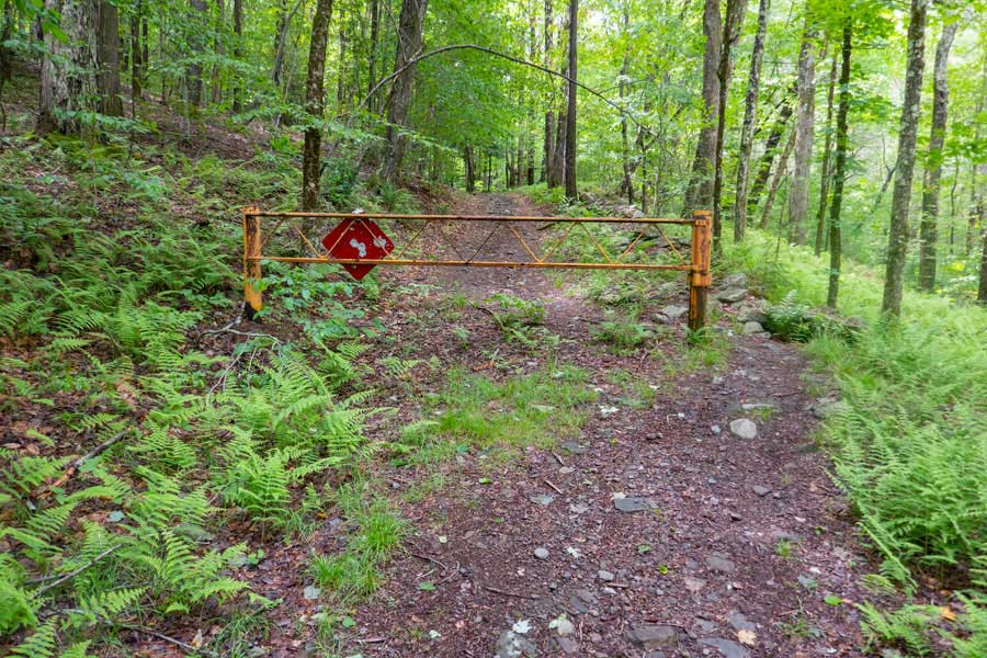 DEC gate on the Kelly Hollow Loop