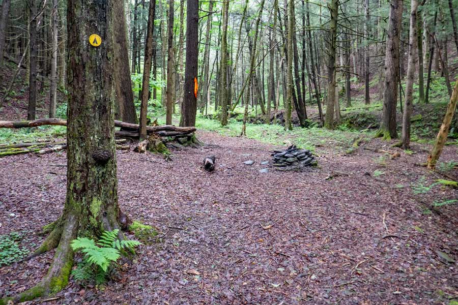 primitive campsite on the Kelly Hollow Loop