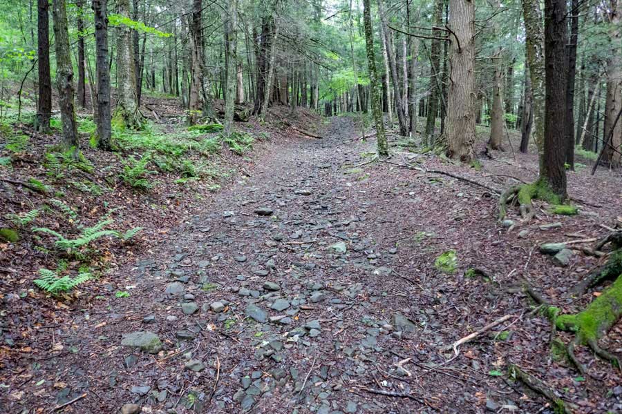 trail between the second primitive campsite and the side trail on the Kelly Hollow Loop