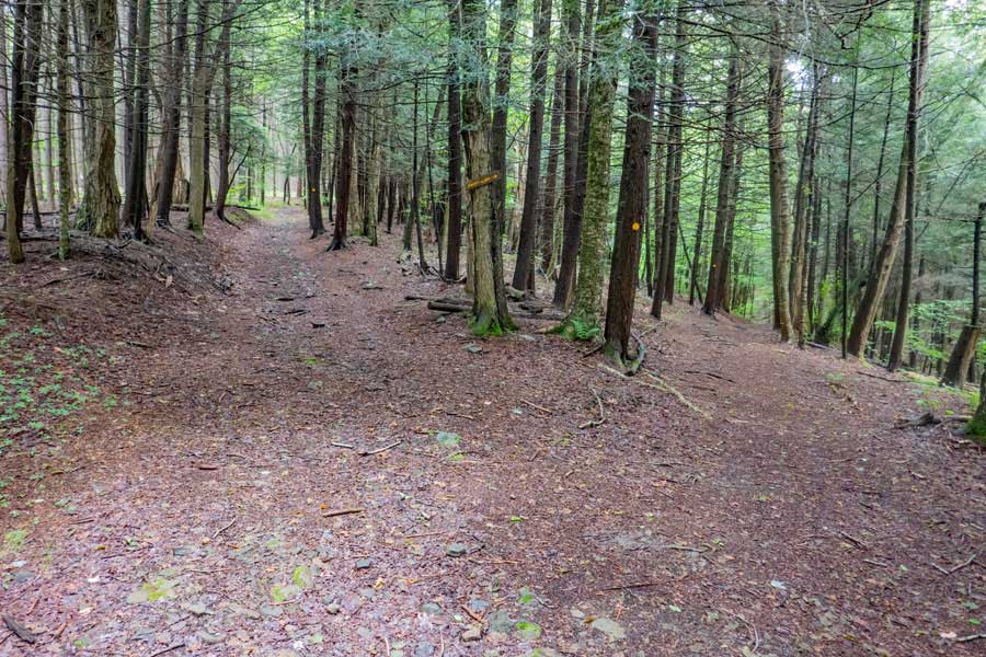 side trail that connects the two loop legs of the Kelly Hollow Loop trail