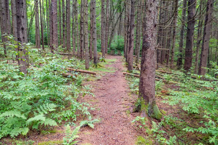 the upper loop of the Kelly Hollow Loop