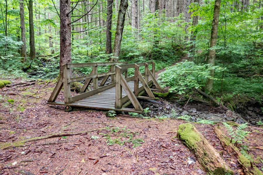 bridge on the upper loop of the Kelly Hollow Loop Trail