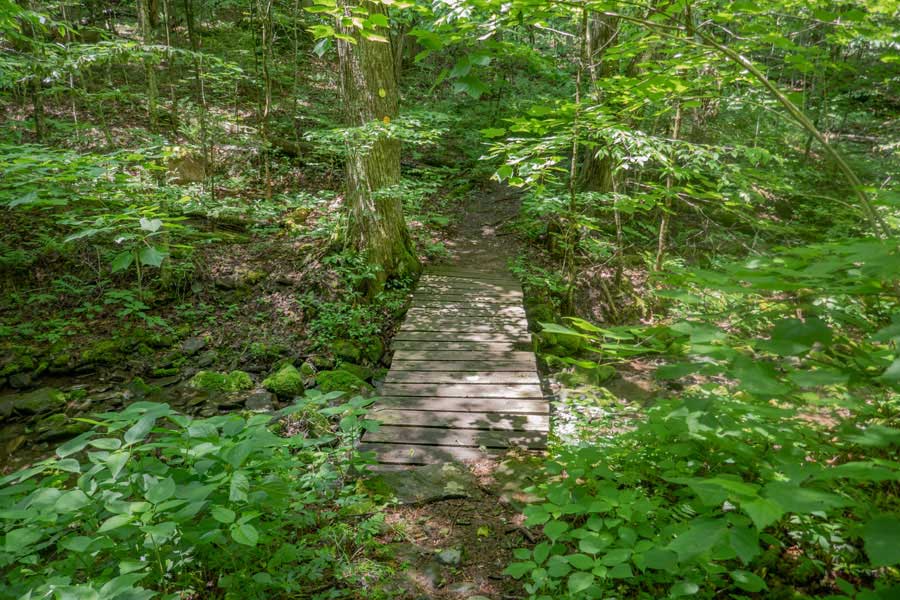 the other side of the upper loop on the Kelly Hollow Loop Trail