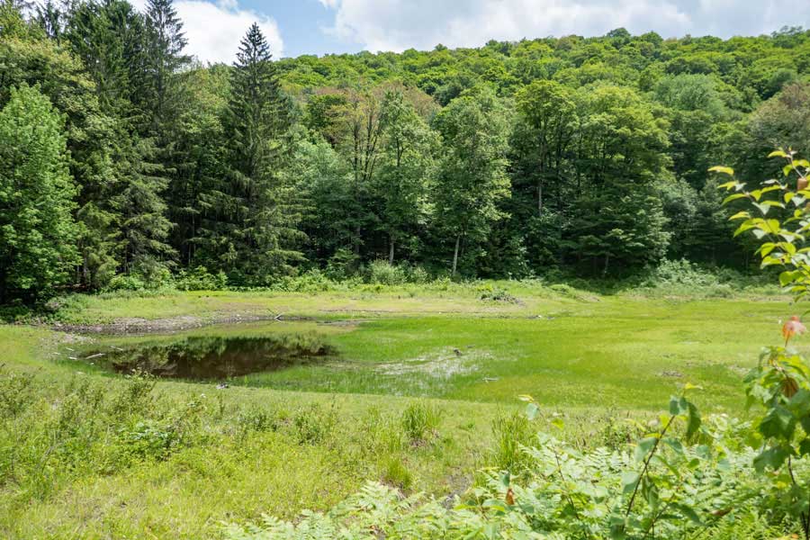 end of the hike around the Beaver Pond on the Kelly Hollow Loop Trail
