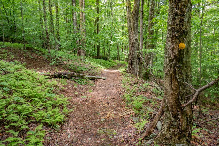 last leg of the western side of the upper loop