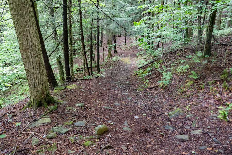 Short Loop Trail off the Kelly Hollow Loop trail - descends to the stream valley floor