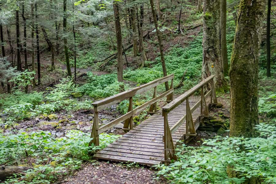 Short Loop Trail off the Kelly Hollow Loop trail - cross bridge #1