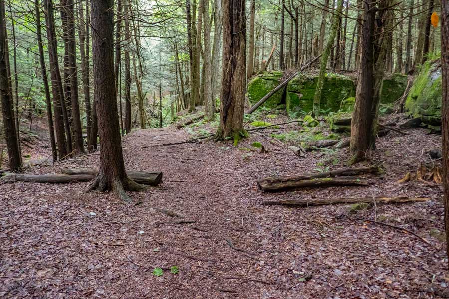 Short Loop trail between the two legs of the Kelly Hollow Loop