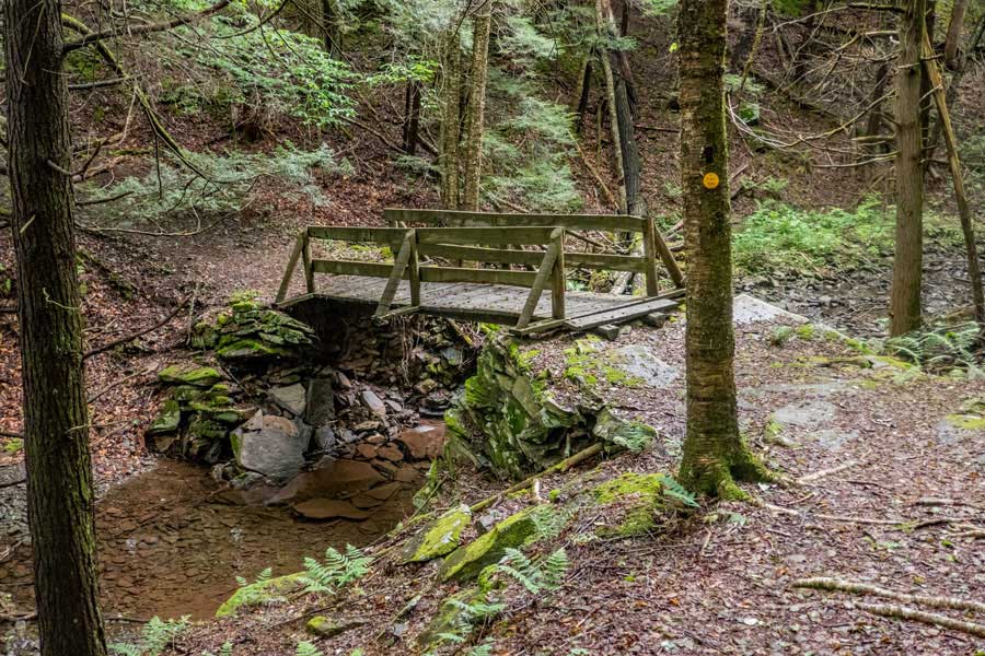 Short Loop Trail, descend into the ravine off the Kelly Hollow Loop - bridge #2