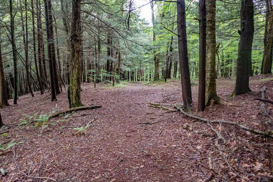 Short Loop Trail, cross the first bridge off the Kelly Hollow Loop