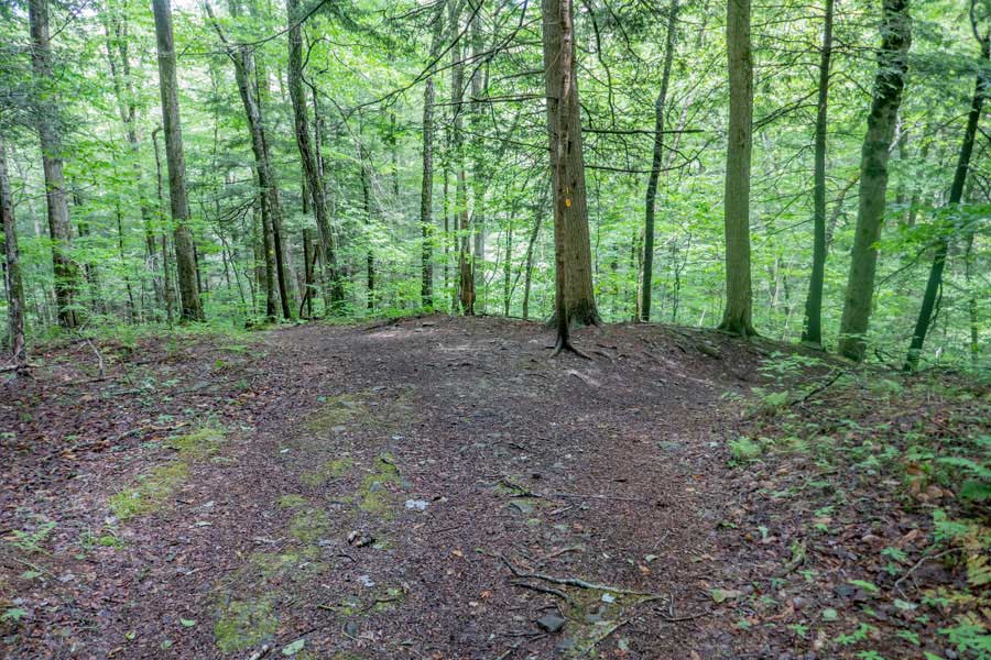Western Leg of the Kelly Hollow Loop