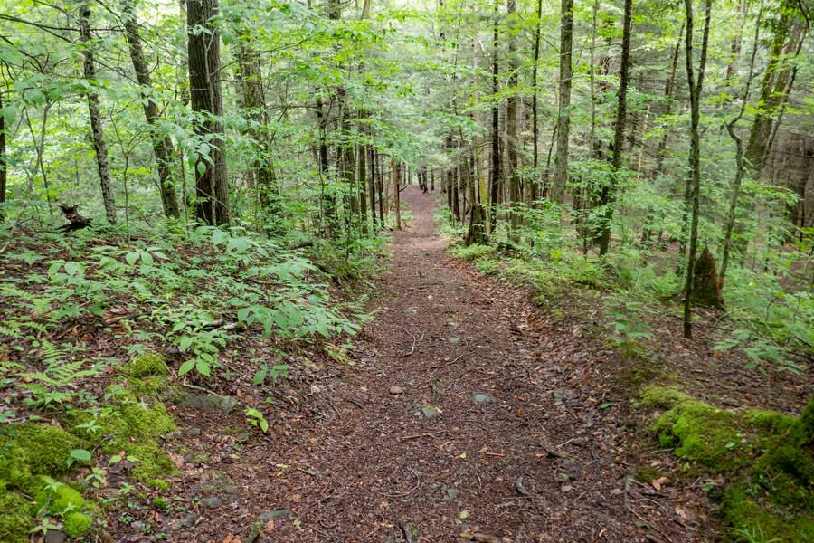 hiking down the western leg of the Kelly Hollow Loop
