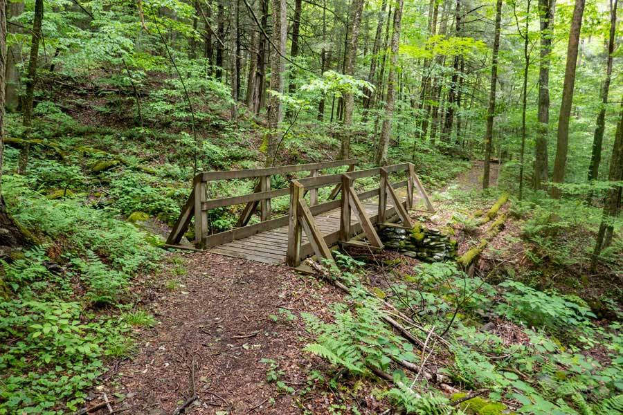 bridges on the western leg of the Kelly Hollow Loop Trail