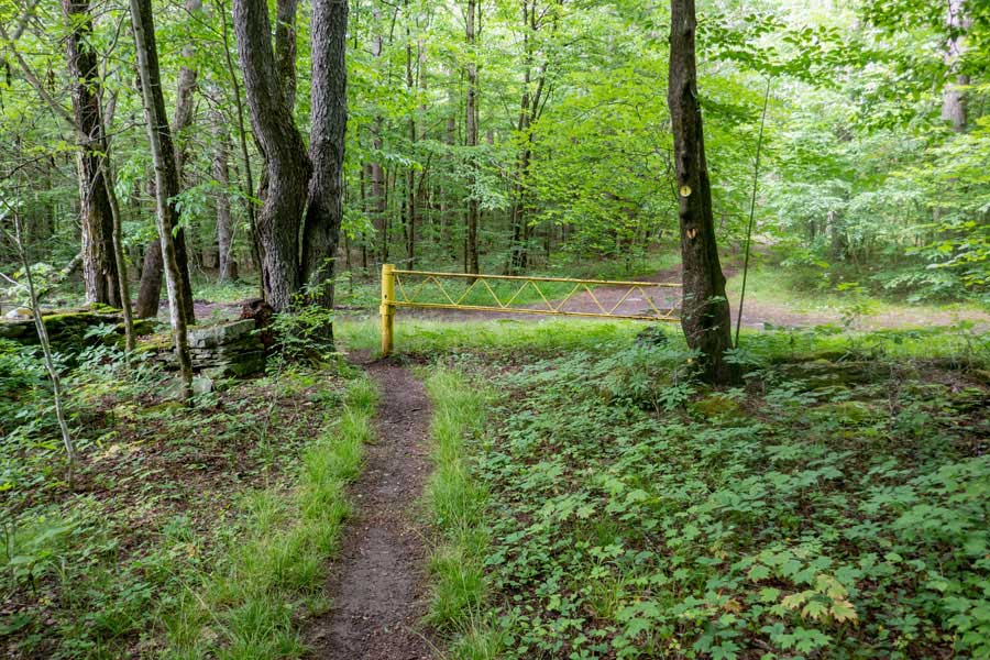 Send of the Kelly Hollow Loop Trail