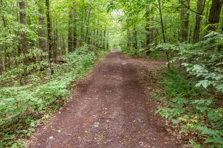 DEC access road to Mill Brook Road in Kelly Hollow